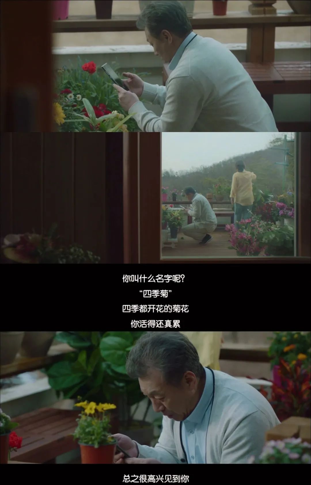 邁入老年為什么會(huì)愛(ài)上花花草草？