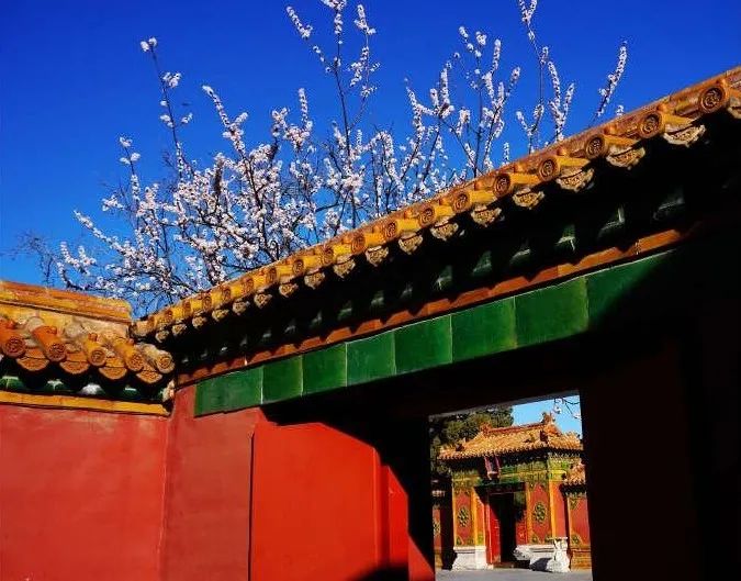 危險(xiǎn)又具有誘惑迷人的紅色，究竟有何魔力？
