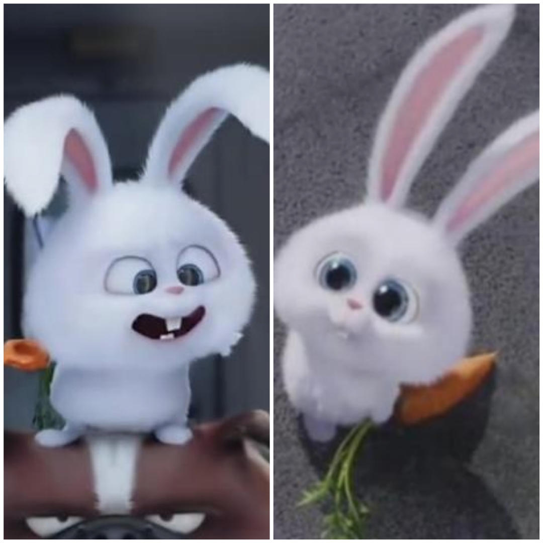我們?yōu)槭裁纯偸菚?huì)“以貌取人”？