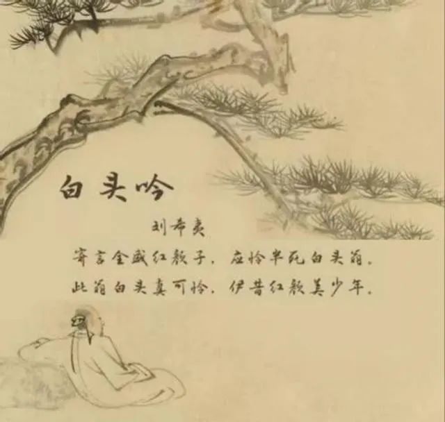 大學(xué)生對人口老齡化的認(rèn)知、態(tài)度與行為