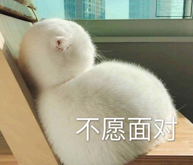 你為什么總是忍不住晚睡？
