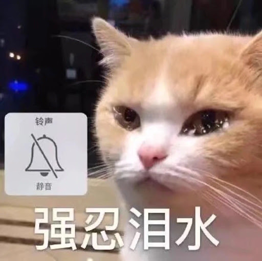很多時候都會錯誤的預估了自己在別人心中的形象