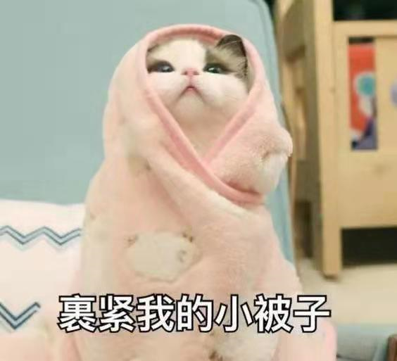 什么是阿倫規(guī)律和貝格曼規(guī)律？