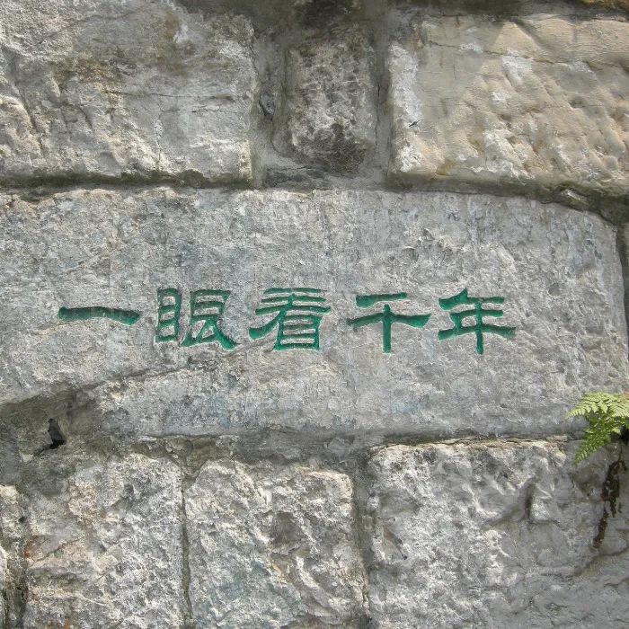 外貌心理學(xué)、面孔影響我們判斷他人的性格和品質(zhì)