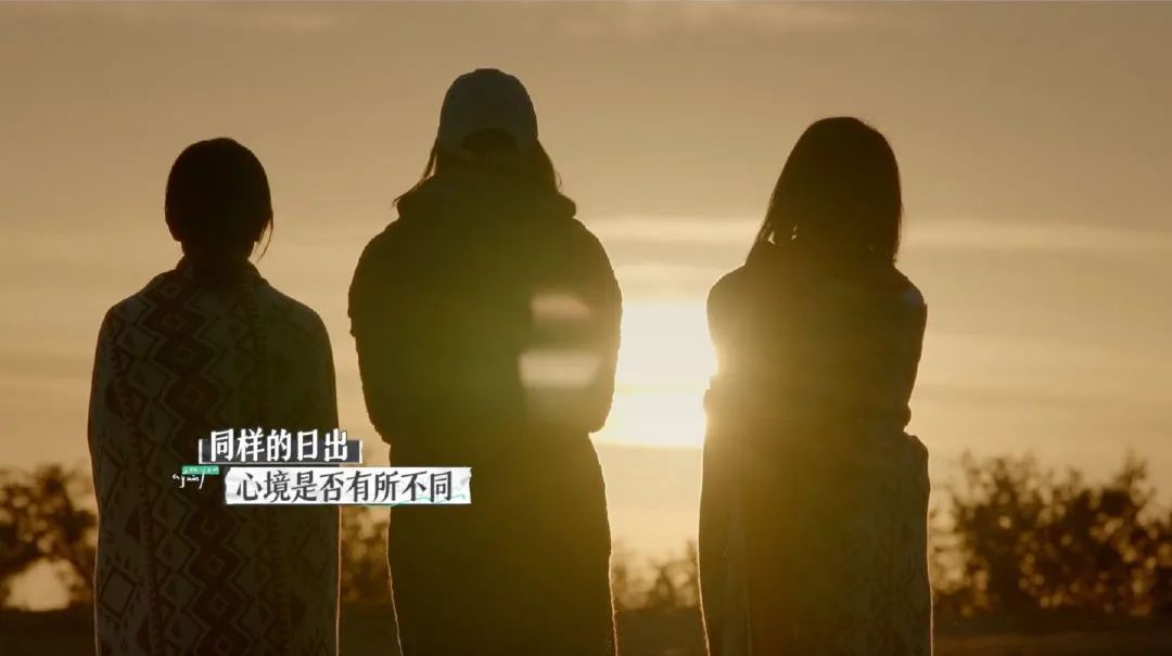 婚姻紀實觀察真人秀：王秋雨和朱雅瓊性格分析
