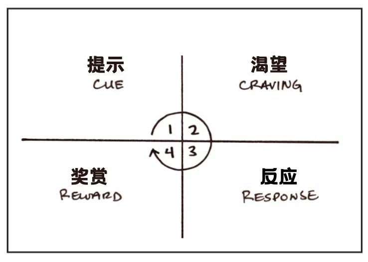 如何循序漸進(jìn)地養(yǎng)成好習(xí)慣
