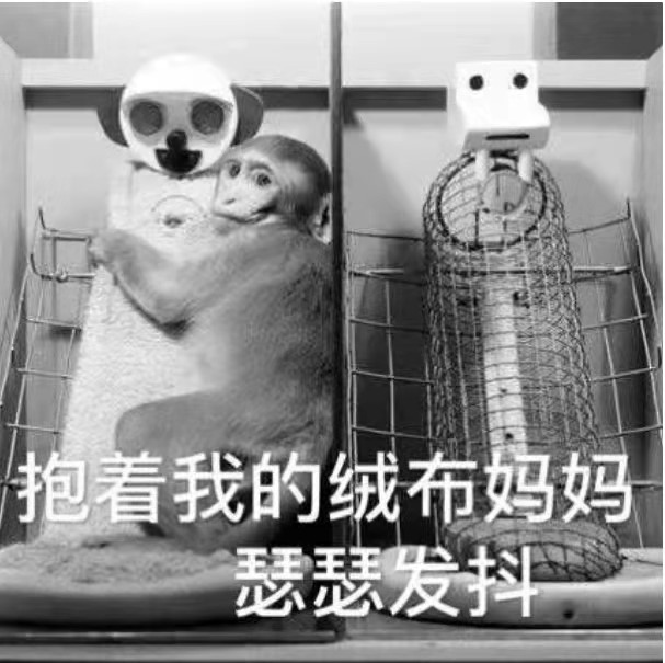 對柔軟物質(zhì)的天然依賴讓人毫無抵抗力
