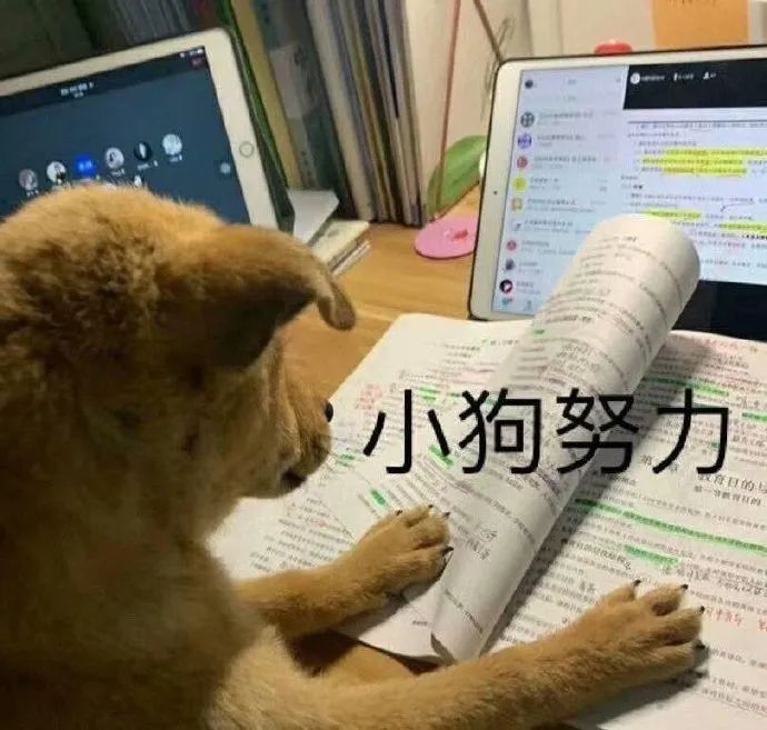 心理測試是這么做到測量人心的？