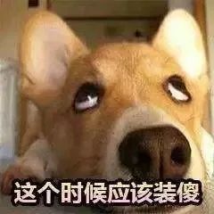 信息回避是什么意思？