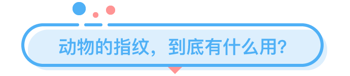 你的指紋里，竟然藏了這么多秘密？