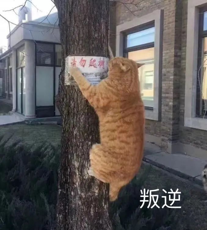 基本心理需要滿足對(duì)于老年人的重要性