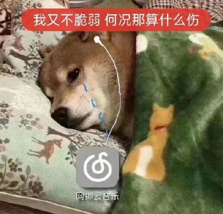 成長的煩惱 | 人生最艱難的年齡段