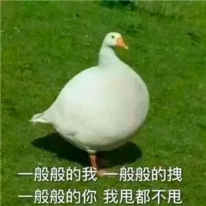 聽了一位心理咨詢師的話，我整個人都好了