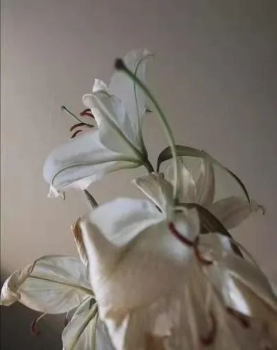 居家隔離期間如何保持良好的心態(tài)？
