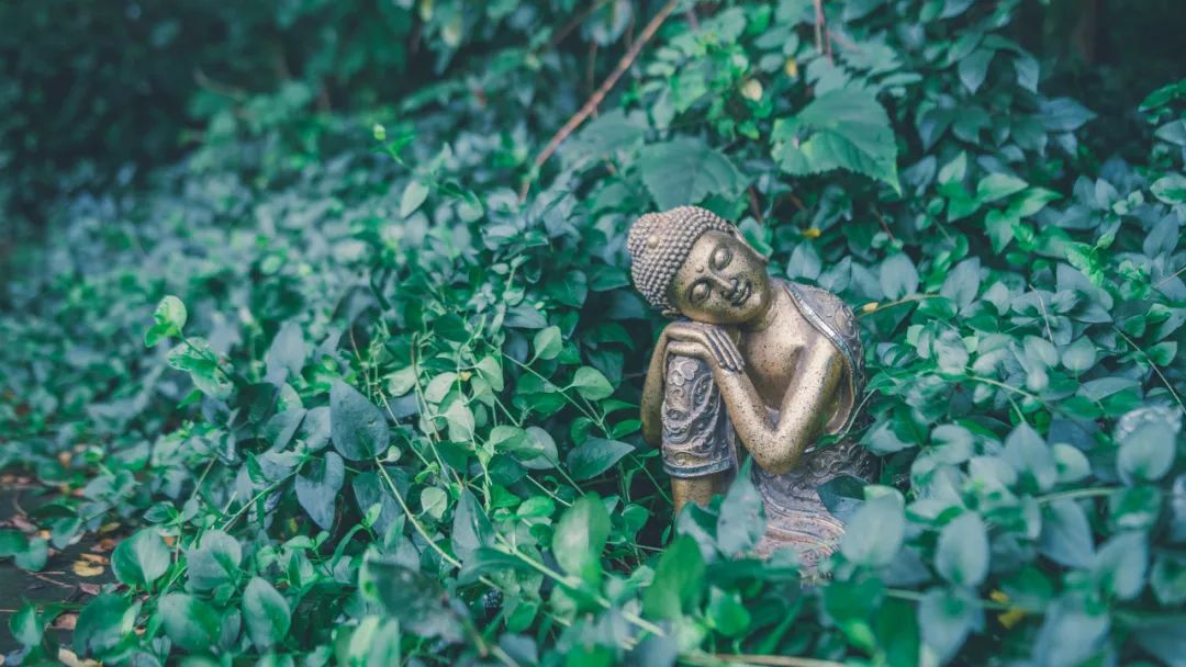 精神分析的投射性認(rèn)同與佛教的因果