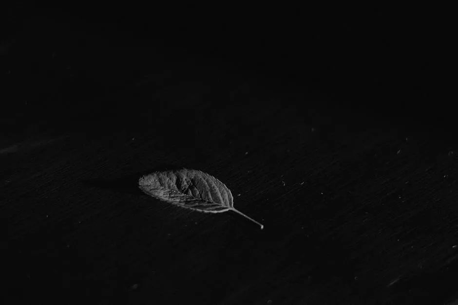 最重要的人際關(guān)系法則和技巧