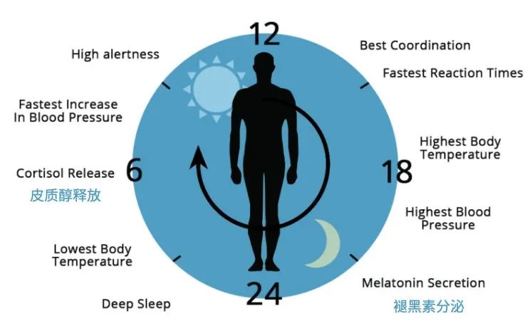 怎樣從熬夜變成早睡早起