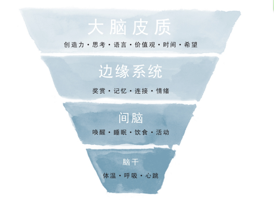 從創(chuàng)傷到療愈、創(chuàng)傷后哪些人容易出現(xiàn)心理問題