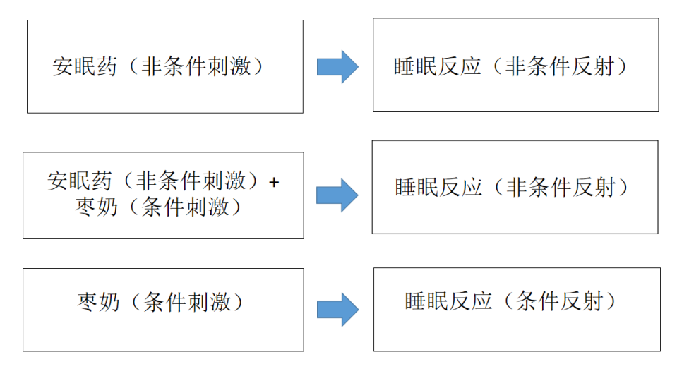 睡眠障礙：為什么會失眠、又如何改善失眠？