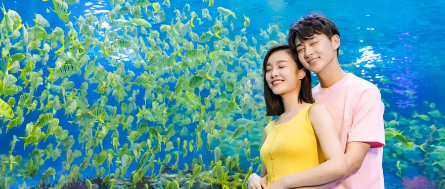 關(guān)于愛(ài)情，你必須知道的幾件事