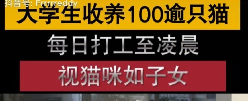 什么是垃圾收藏強(qiáng)迫癥/收藏垃圾怪癖？