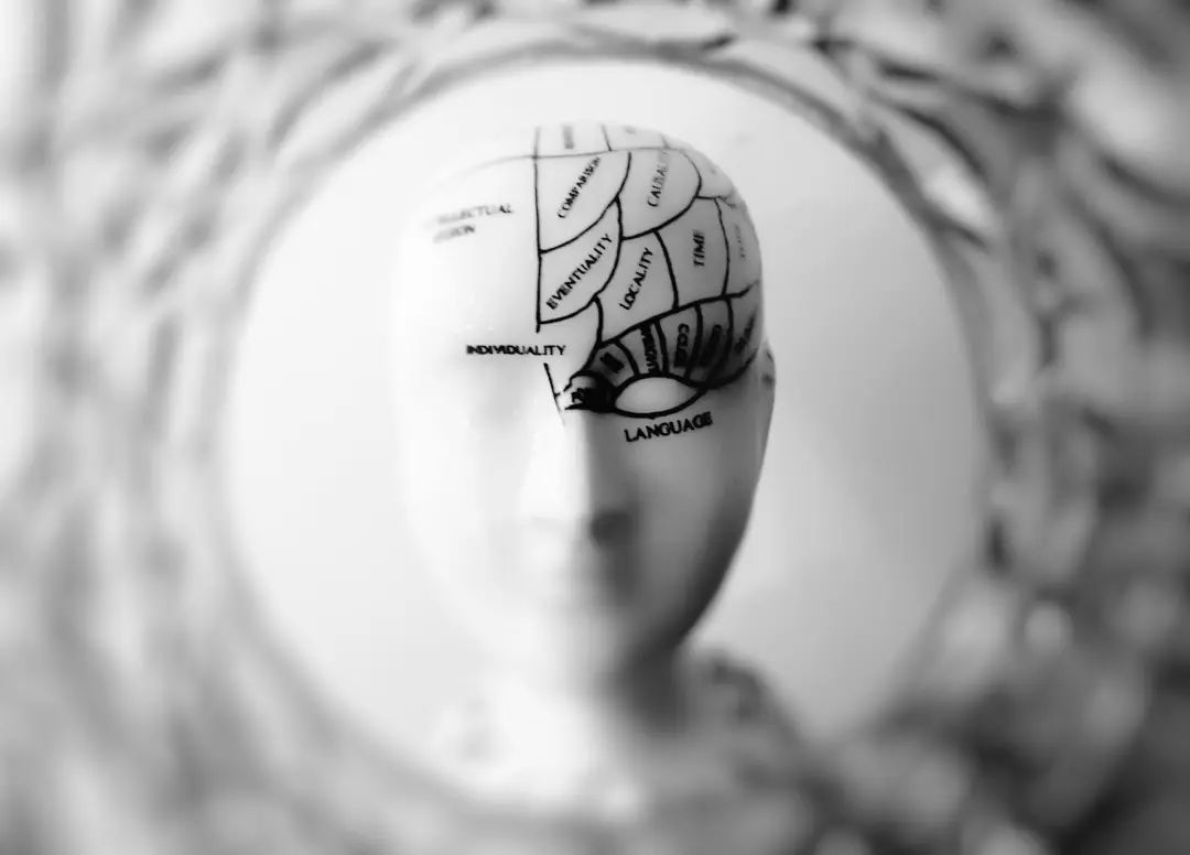 逆齡大腦：年紀(jì)輕輕，就感覺(jué)自己變笨了？
