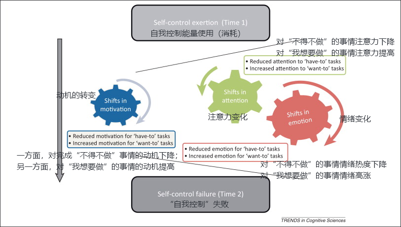 決策疲勞效應(yīng)：為什么不要在晚上做決定？