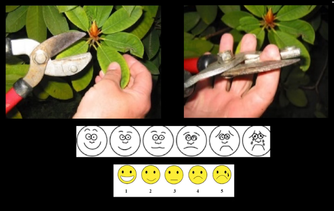 眼動(dòng)地形圖、早期鑒別孤獨(dú)癥孩子的重大發(fā)現(xiàn)