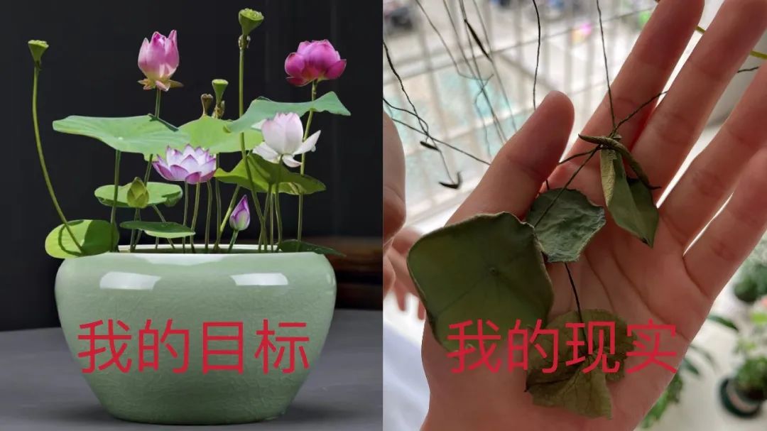 想退休的年輕人都在期待什么？