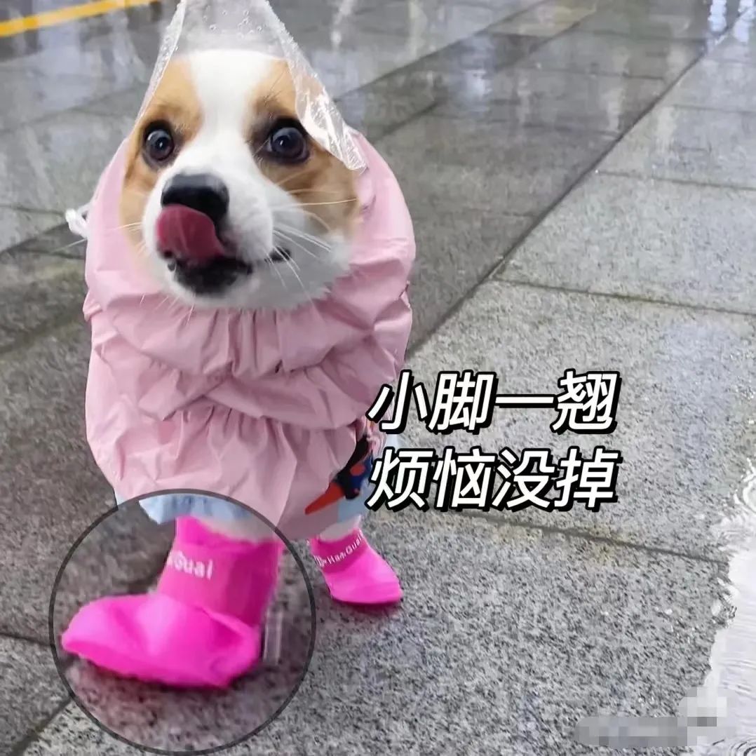 想退休的年輕人都在期待什么？