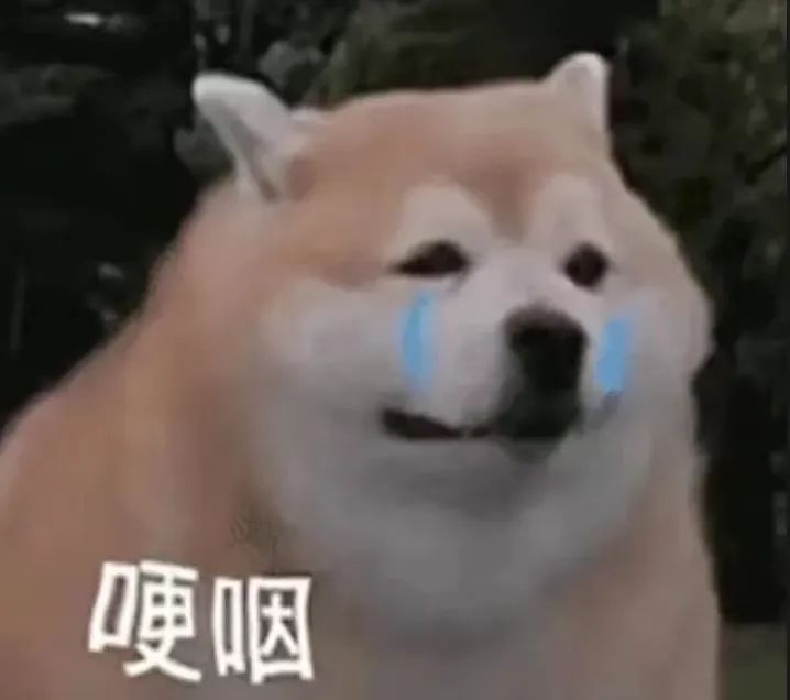 想退休的年輕人都在期待什么？