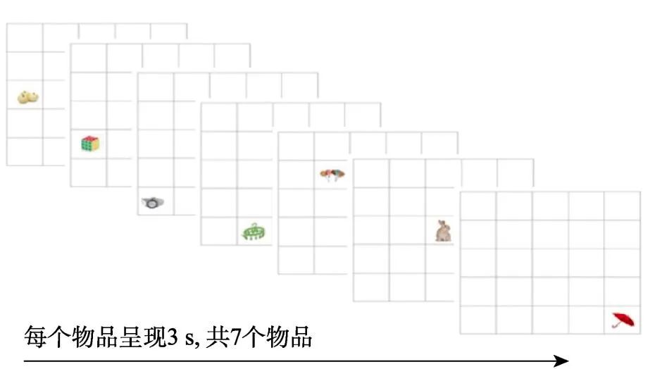 女性生理周期影響情景記憶