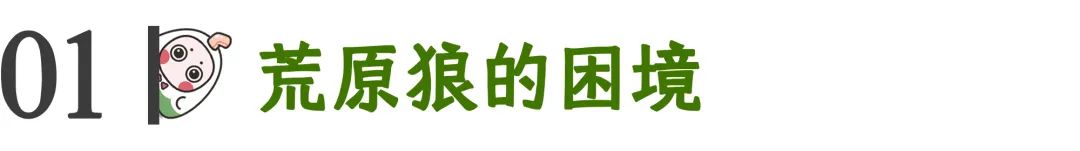 心理學(xué)好書《荒原狼》越社交，越孤獨