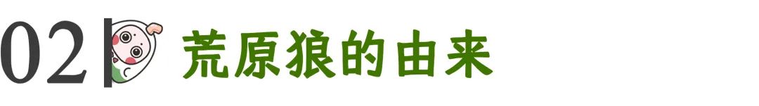 心理學(xué)好書《荒原狼》越社交，越孤獨