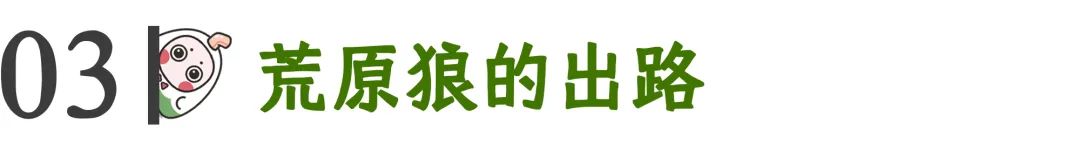 心理學(xué)好書《荒原狼》越社交，越孤獨