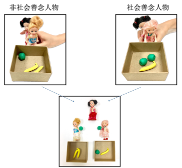 兒童社會善念理解的發(fā)展與心理理論的關(guān)系