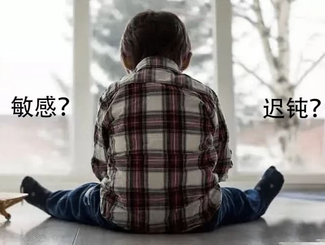 當(dāng)今時(shí)代，人們更需要敏感還是遲鈍？