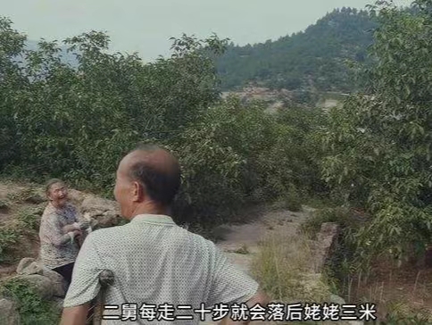 二舅的故事，我們看到了什么？