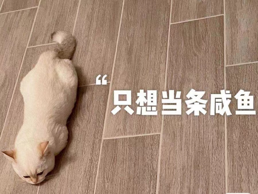 當閑魚也是一種夢想嗎？