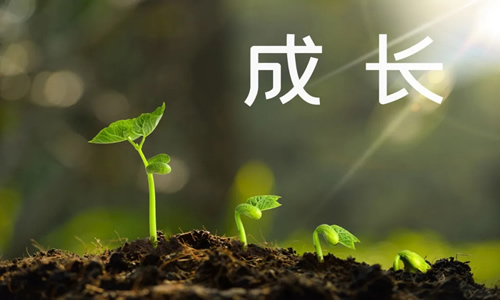 你要付出多少代價才會成長