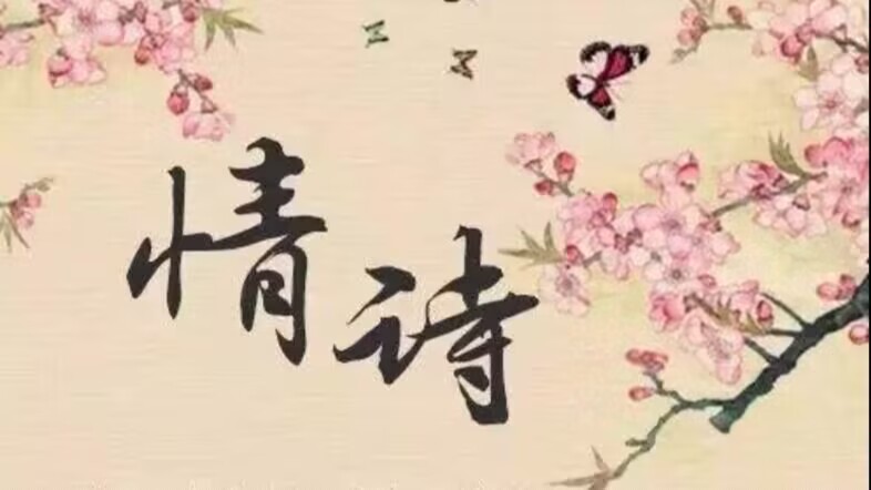 最美情詩短句，你最喜歡哪一個?