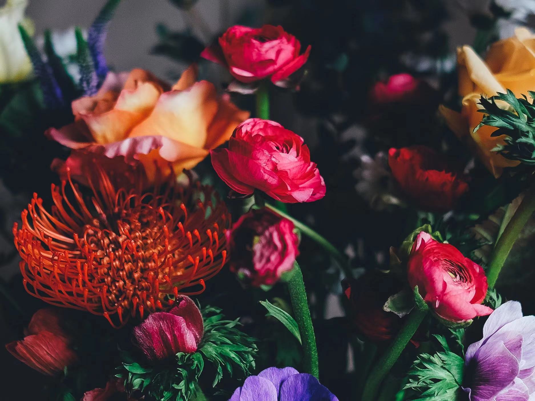 花開愛意：揭秘象征愛情的花