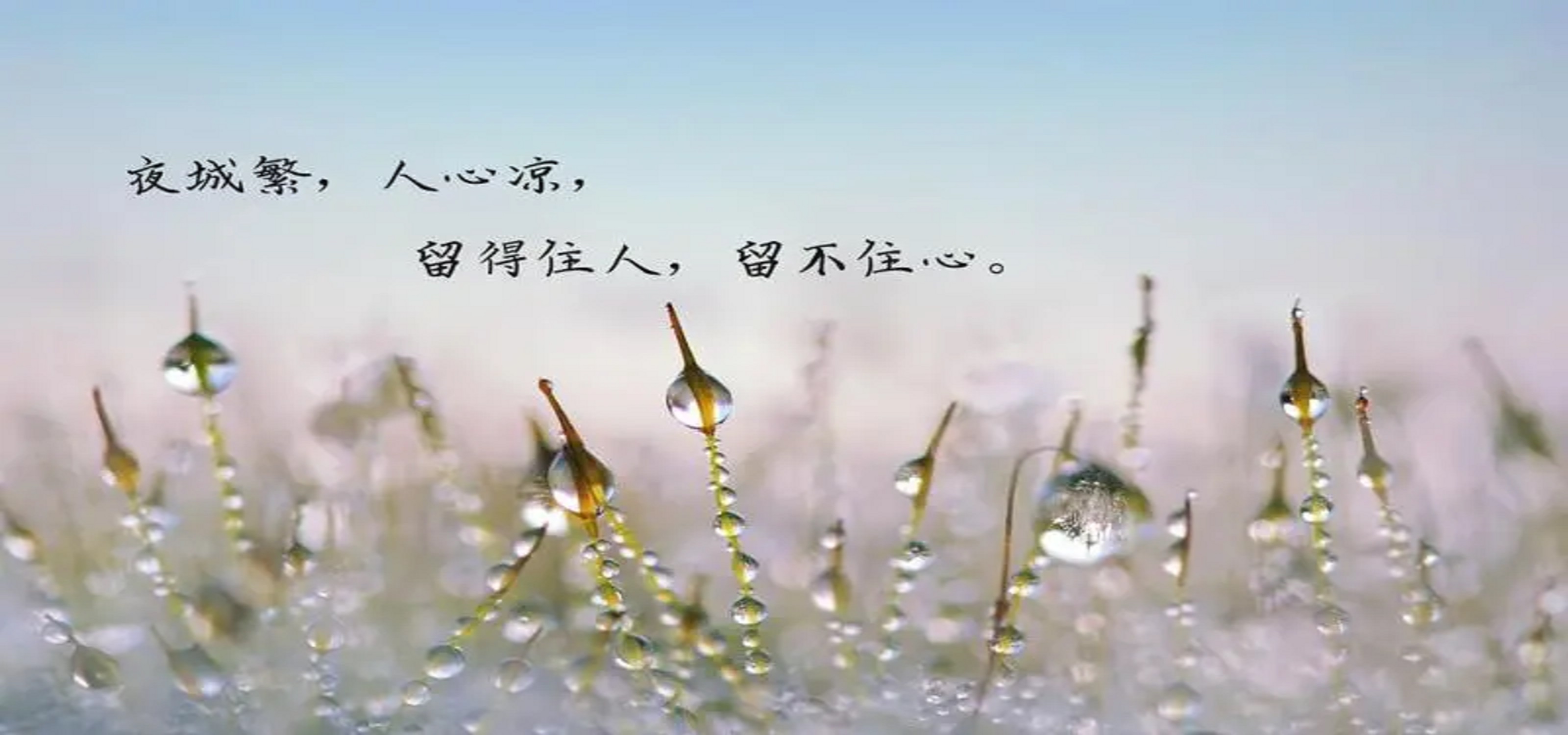 人心涼了的傷感說說 在情感當(dāng)中傷心總是難免