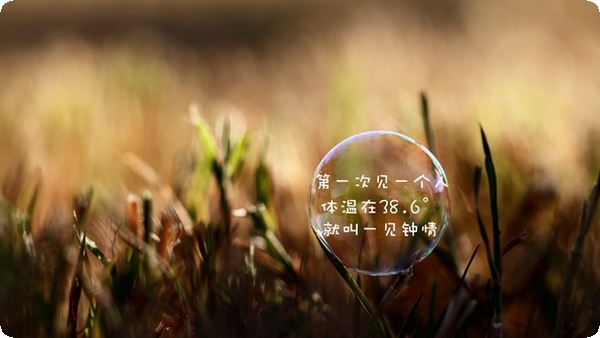 什么時候老實人會變成人精