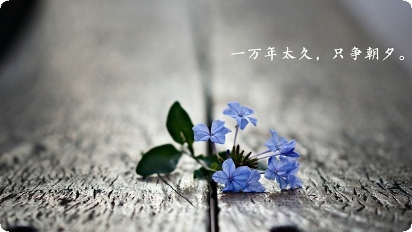 失眠怎么辦 有哪些有效的睡眠方法