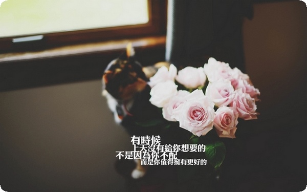每天都需要冥想嗎(每天都需要冥想嗎為什么)