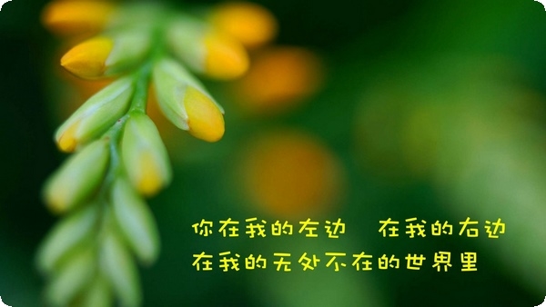 邊緣性人格障礙(BPD)痛苦的原因