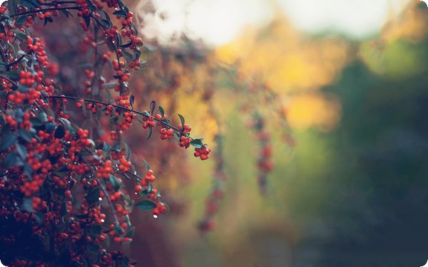 個(gè)人早年的成長經(jīng)歷對(duì)親密關(guān)系的影響