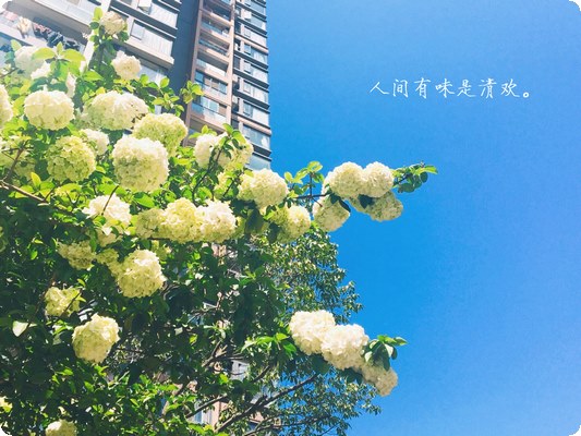 成為心理咨詢師的基本條件是明白心理咨詢本質(zhì)是什么？