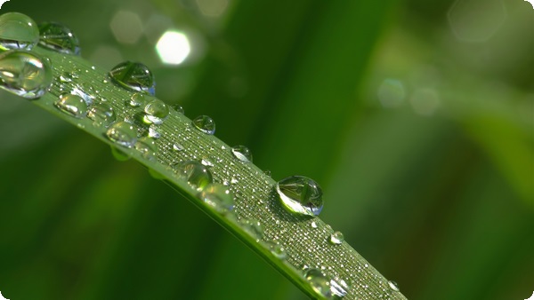 心理健康即心理平衡？心理健康與心理平衡的關(guān)系